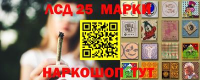 шишки Нальчик