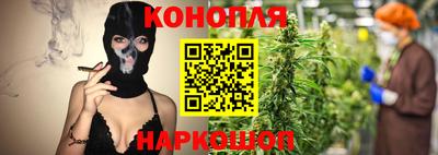 шишки Нальчик