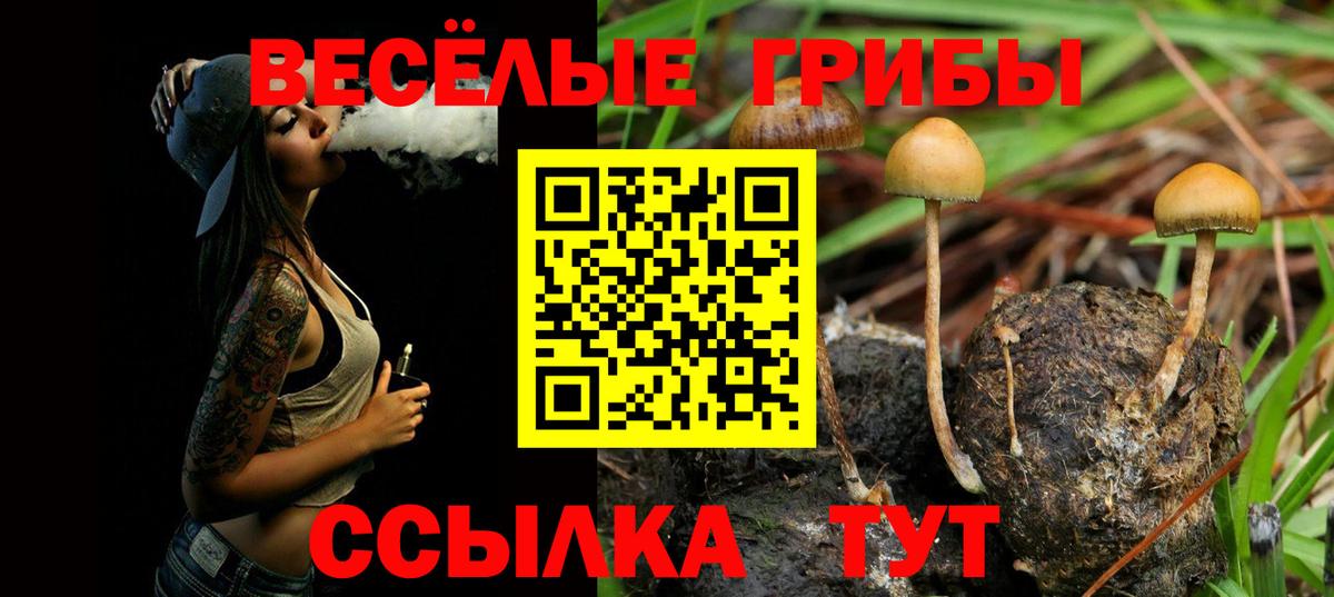 Псилоцибиновые грибы ЛСД  Галлюциногенные грибы Psilocybe  Вход с VPN  Узловая 