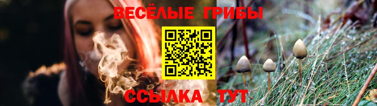 Псилоцибиновые грибы GOLDEN TEACHER Узловая